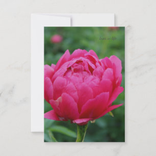Hübsch Pink Garden Peony Mitteilungskarte
