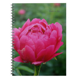 Hübsch Pink Garden Peony Notizblock