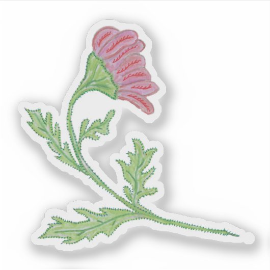 Hübsch Pink Hand gezeichnet Posey Aufkleber (Vorderseite)