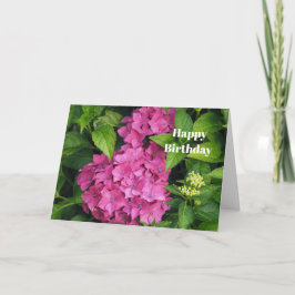 Hübsch Pink Hydrangea Blume Foto Geburtstag Karte