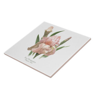 Hübsch Pink Iris Botanische Kunst Fliese