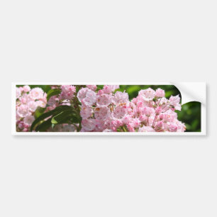 Hübsch Pink Mountain Laurel Blume Autoaufkleber