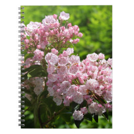 Hübsch Pink Mountain Laurel Blume Notizblock