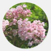 Hübsch Pink Mountain Laurel Blume Runder Aufkleber (Vorderseite)