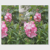 Hübsch Pink Penstemon Blume Blumengarten Geschenkpapier (Flach)
