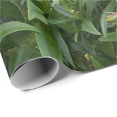 Hübsch Pink Penstemon Blume Blumengarten Geschenkpapier (Rolleneckpunkt)