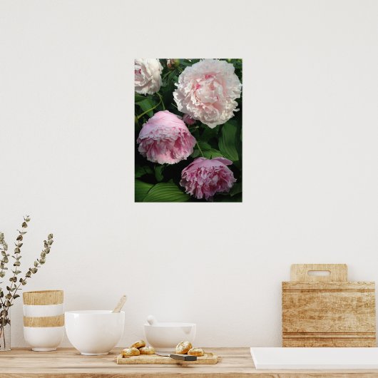 Hübsch Pink Peony Art Poster (Küche)