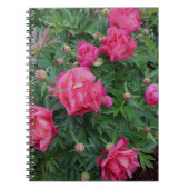 Hübsch Pink Peony Bush Notizblock (Vorderseite)