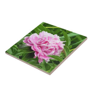 Hübsch Pink Peony Fliese