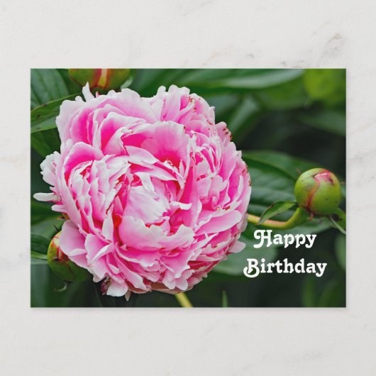 Hübsch Pink Peony Floral Foto Geburtstag Postkarte (Vorderseite)