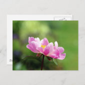 Hübsch Pink Peony Postcard Postkarte (Vorne/Hinten)