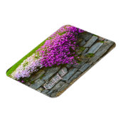 Hübsch Pink Phlox Dankbarkeit Magnet (Linke Seite)