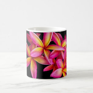Hübsch Pink Plumeria Floral Foto Kaffeetasse