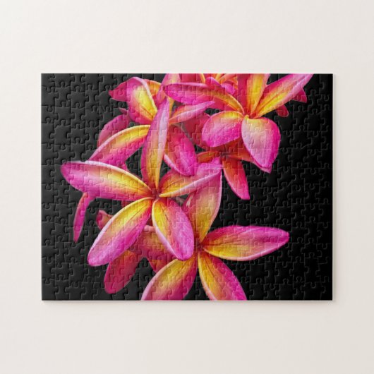 Hübsch Pink Plumeria Floral Foto Puzzle (Horizontal)