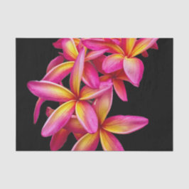 Hübsch Pink Plumeria Floral Foto Seidenpapier
