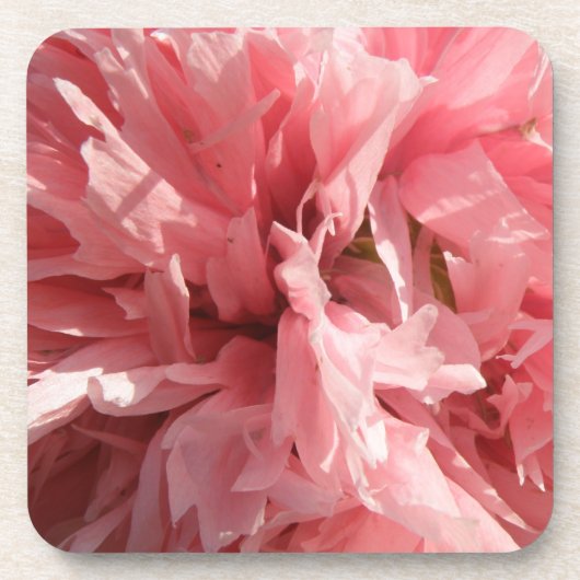 Hübsch Pink Poppy Cork Untersetzer (Vorderseite)