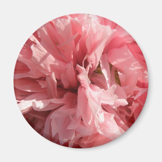 Hübsch Pink Poppy Magnet (Vorne)