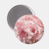 Hübsch Pink Poppy Magnet (Vorderseite/Rückseite)