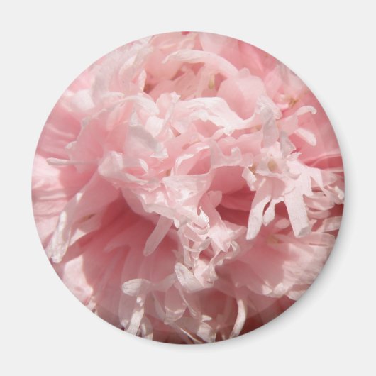 Hübsch Pink Poppy Magnet (Vorne)