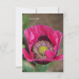 Hübsch Pink Poppy Mitteilungskarte
