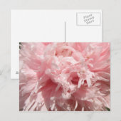Hübsch Pink Poppy Postkarte (Vorne/Hinten)