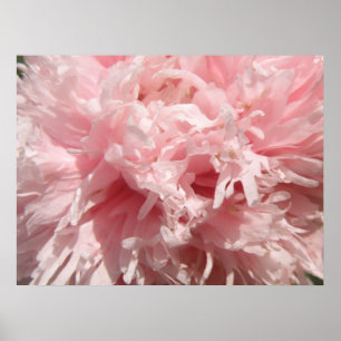 Hübsch Pink Poppy Print Poster