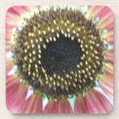 Hübsch Pink Sunflower Cork Untersetzer (Vorderseite)