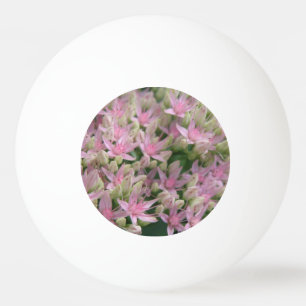 Hübsch Pink Tropical Blume Ping Pong Ball Tischtennisball