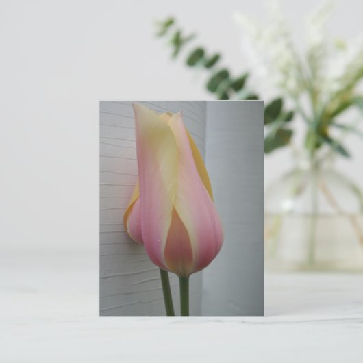 Hübsch Pink Tulip Postkarte (Stehend Vorderseite)