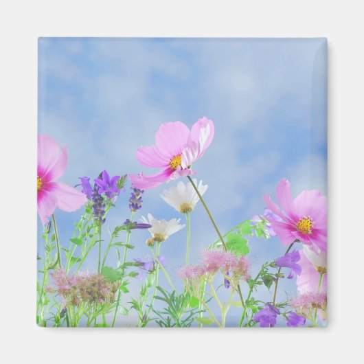 Hübsch Pink Wild Blume Wiese Magnet (Vorne)