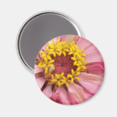 Hübsch Pink Zinnia Magnet (Vorderseite/Rückseite)