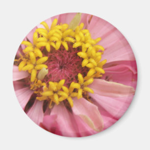 Hübsch Pink Zinnia Magnet
