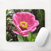 Hübsch Pink Zinnia Mousepad (Mit Mouse)