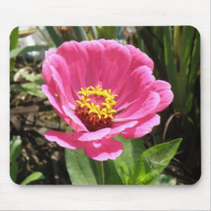Hübsch Pink Zinnia Mousepad