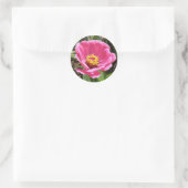 Hübsch Pink Zinnia Stickers (Tasche)