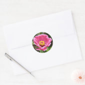 Hübsch Pink Zinnia Stickers (Umschlag)