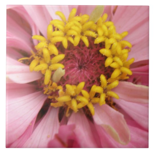 Hübsch Pink Zinnia Tile Fliese (Vorderseite)