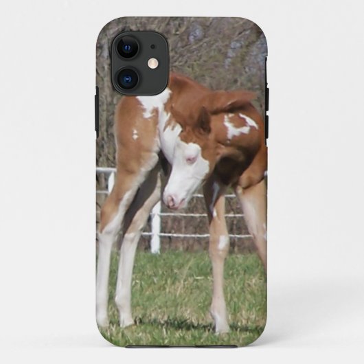 Hübsch Pony Case-Mate iPhone Hülle (Rückseite)