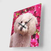 Hübsch Poodle Quadratische Wanduhr (Winkel)