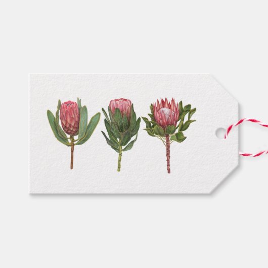 Hübsch Protea-Tag Geschenkanhänger (Vorderseite (Horizontal))