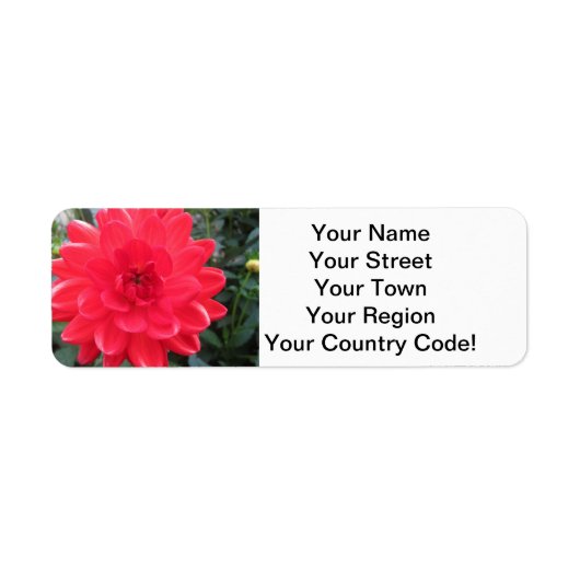 Hübsch Red Dahlia (Vorne)