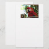 Hübsch Red Parrot Briefpapier (Vorne/Hinten)
