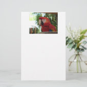 Hübsch Red Parrot Briefpapier (Stehend Vorderseite)