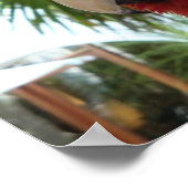 Hübsch Red Parrot Poster (Ecke)