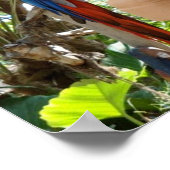 Hübsch Red Parrot Poster (Ecke)