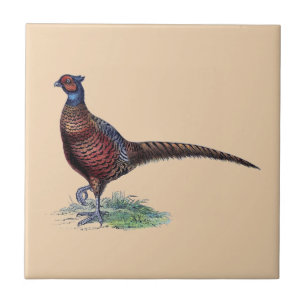 Hübsch Ring Neck Pheasant Tan Fliese