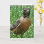 Hübsch Robin Karte (Gelbe Blume)