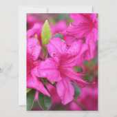 hübsch-rosa Azalea-Blume Christlicher Einblick in  Einladung (Rückseite)