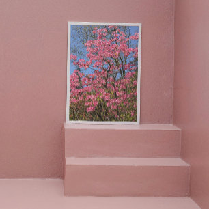 Hübsch rosa Azaleen Fotodruck