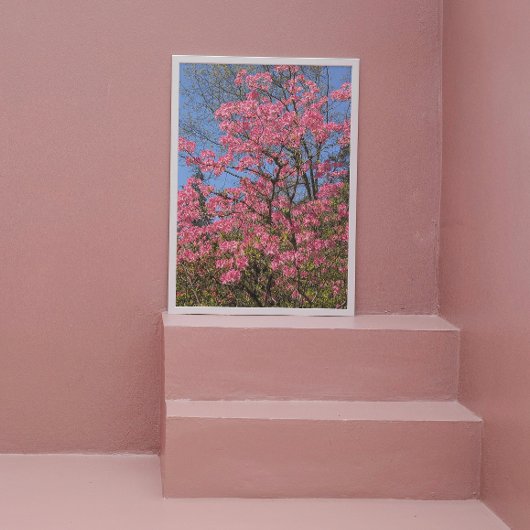 Hübsch rosa Azaleen Fotodruck